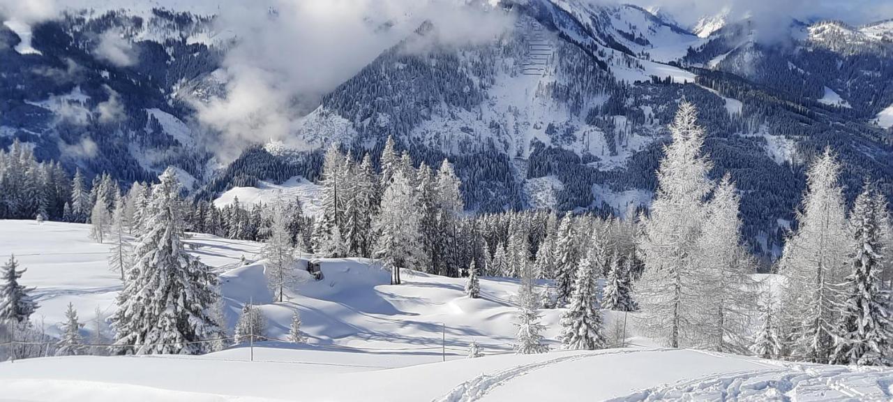 Chalet Auhof Flachau Esterno foto