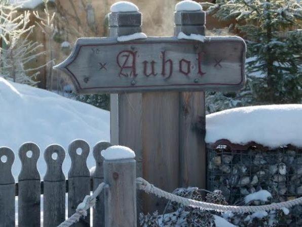 Chalet Auhof Flachau Esterno foto